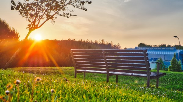 Bench Park Sunlight Summer Wallpaper