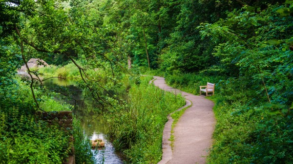 Bench Trees Trail Wallpaper