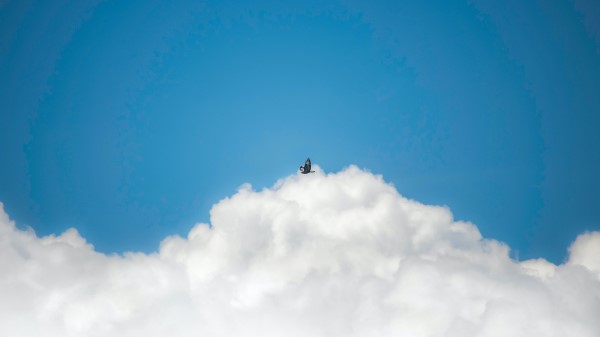 Bird Clouds Sky Image Wallpaper