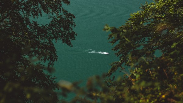 Boat Branches Water Wallpaper