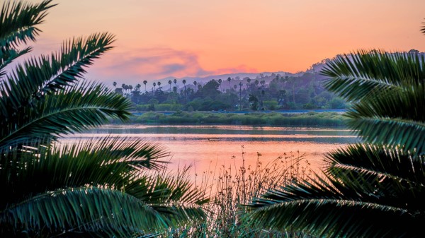 Branches Lake Sunset Wallpaper