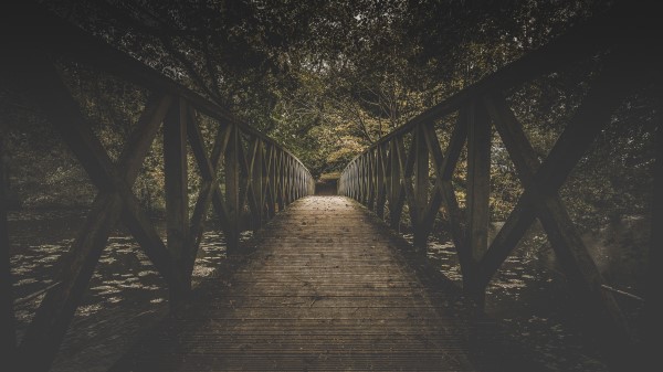 Bridge Board Trees Wallpaper