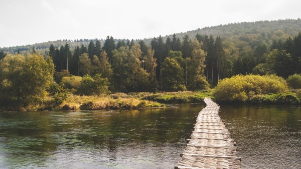 Bridge Forest River Wallpaper Wallpaper
