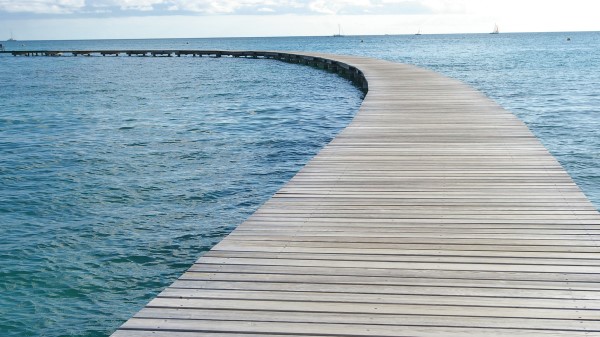 Bridge In Martinique Wallpaper