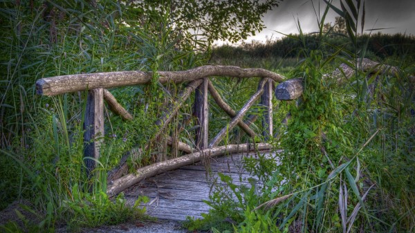 Bridge Plants Grass Landscap Wallpaper