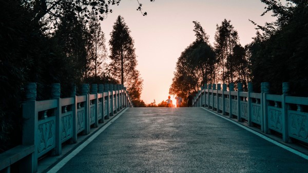 Bridge Road Asphalt Wallpaper