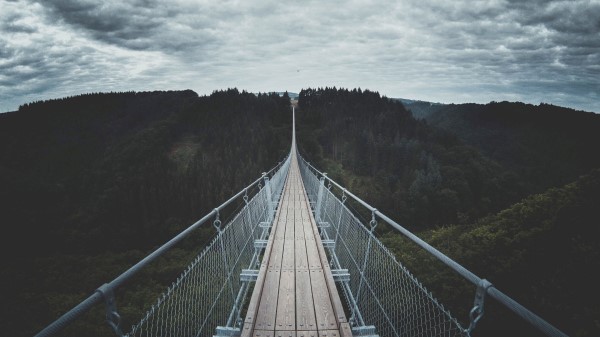 Bridge Suspended Wood Wallpaper