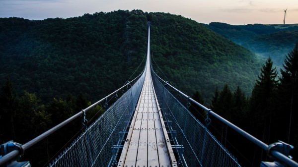Bridge Trees Hanging Wallpaper