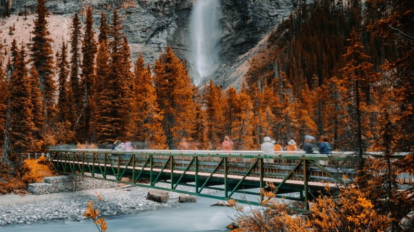 Bridge Waterfall River Wallpaper