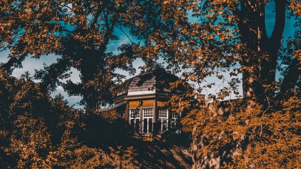Building Construction Forest Wallpaper