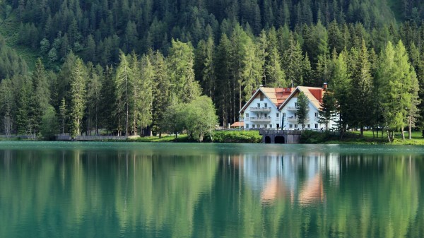Building Forest Lake Wallpaper