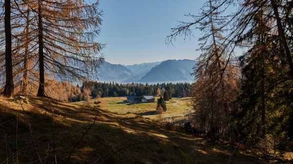 Building Forest Mountains Wallpaper