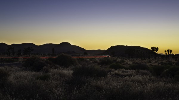 Bushes Hills Line Wallpaper
