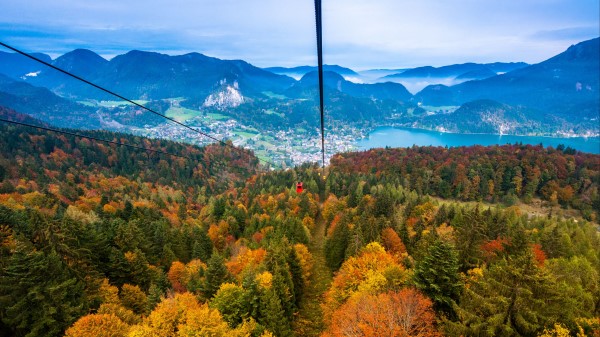 Cable Car View From Above Trees Wallpaper