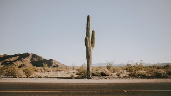 Cactus Road Desert Wallpaper