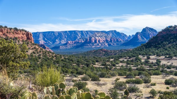 Canyon Prairie Cacti Wallpaper