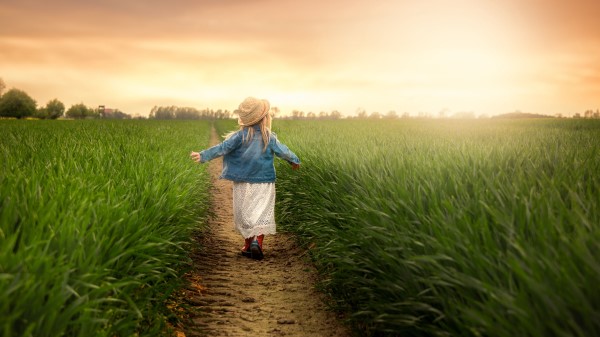 Child Field Grass Wallpaper