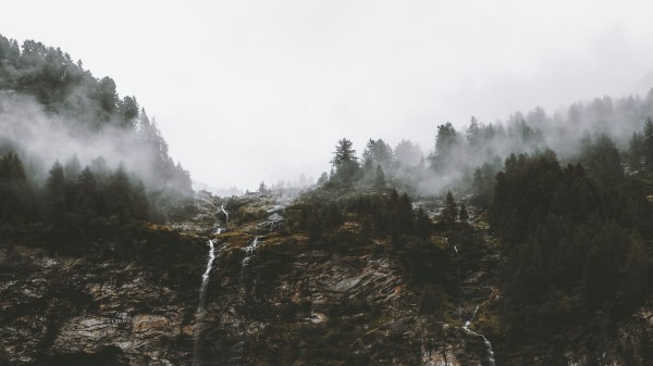 Cliff Trees Fog Wallpaper