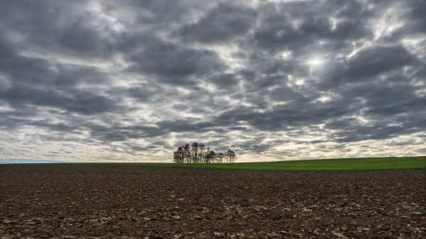 Cloud Field Horizon Nature Tree Wallpaper Wallpaper