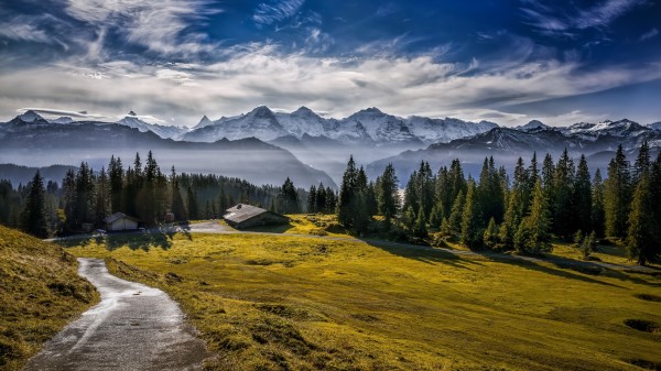 Cloud Forest Mountain Road Wallpaper Wallpaper