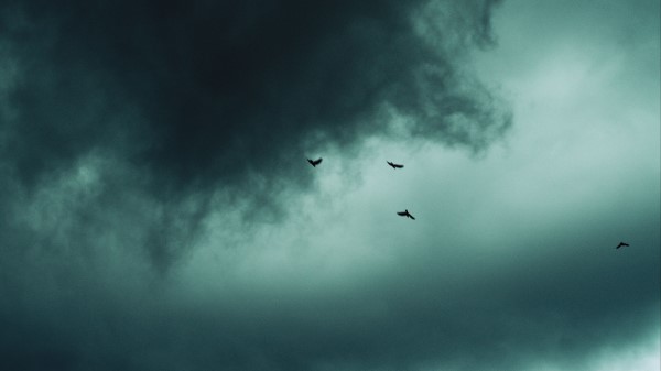 Clouds Birds Sky Wallpaper
