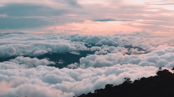 Clouds Sky Trees Wallpaper