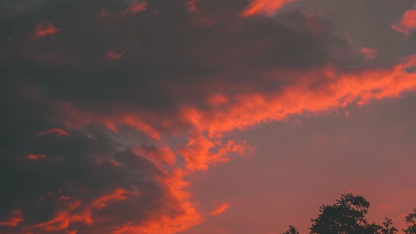 Clouds Tree Sky Wallpaper