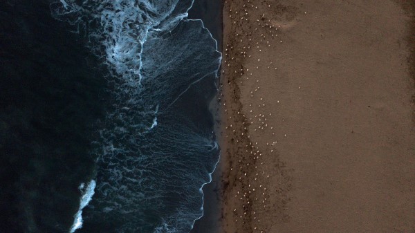 Coast Beach Sea Wallpaper