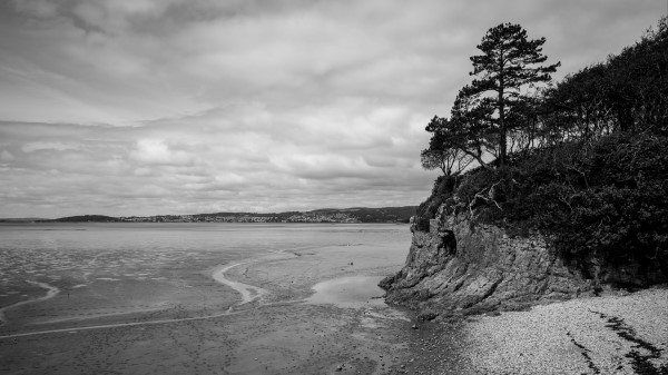 Coast Bw Wood Wallpaper