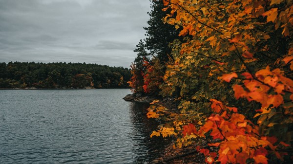 Coast Lake Autumn Wallpaper