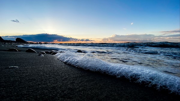 Coast Sea Foam Wallpaper