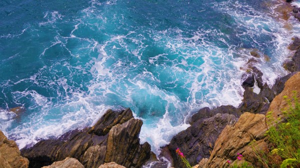 Coast Stones Rocks Image Wallpaper