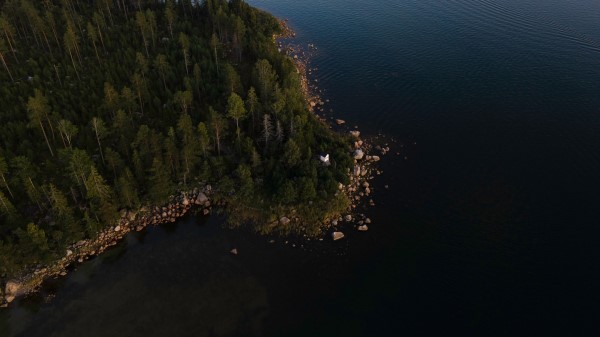 Coast Trees Aerial View Wallpaper