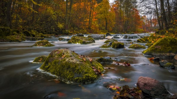 Colors Of Autumn On Wallpaper