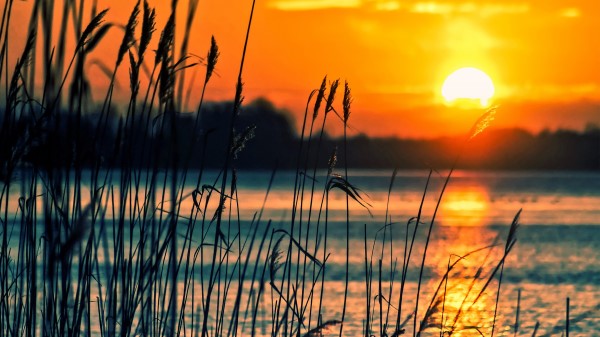 Crops Sunset Lake Wallpaper