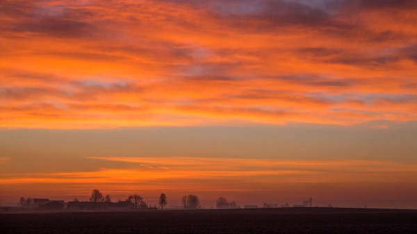 Dawn Field Fog Wallpaper