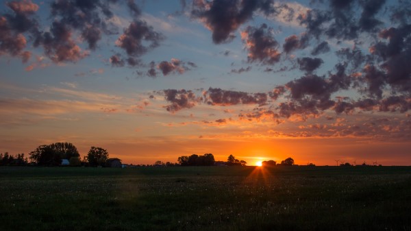 Dawn Horizon Field Wallpaper