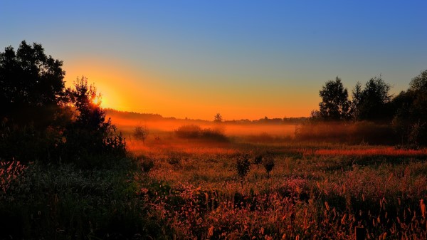 Decline Sun Lighting Field Orange Wallpaper