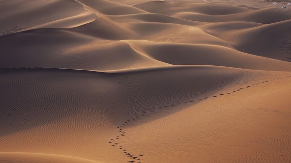Desert Dunes Sand Wallpaper