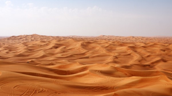 Desert Wallpaper