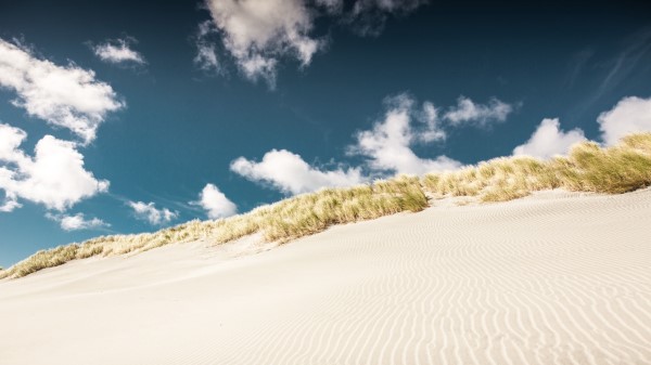 Desert Sand Layers Wallpaper