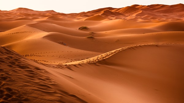 Desert Sand Wallpaper