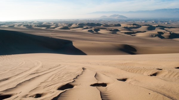 Desert Sand Traces Wallpaper