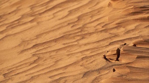 Desert Sand Wavy Wallpaper