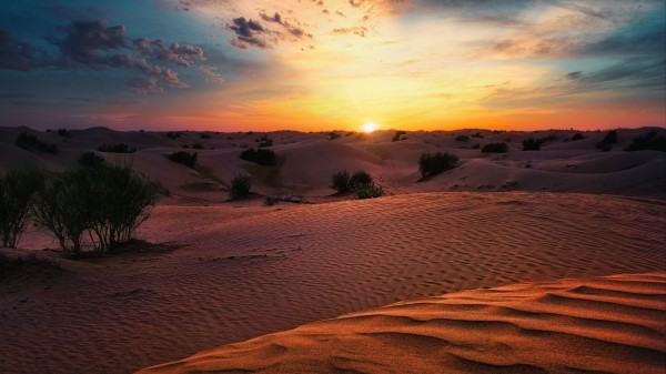 Desert Sunset Sand Wallpaper