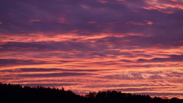 Dusk Clouds Trees Wallpaper