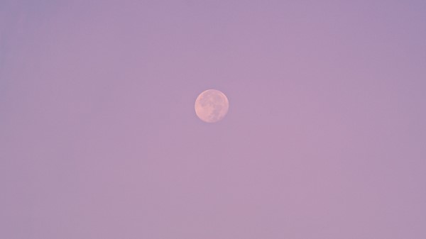 Evening Moon Birds Wallpaper