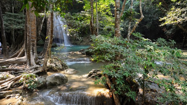 Falls River Current Vegetation Trees Bushes Shadow Stones Roots Streams Wallpaper