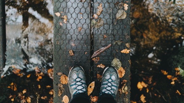 Feet Autumn Foliage Rain Wallpaper