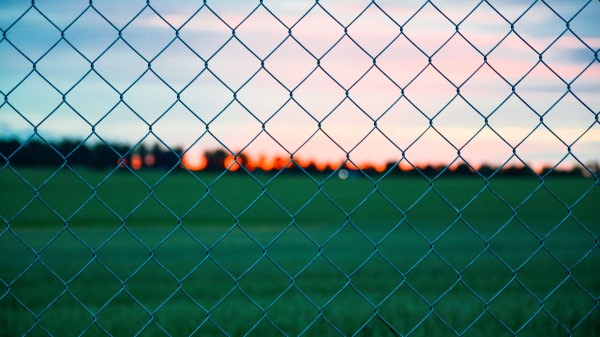 Fence Wire Mesh Fence Grass Wallpaper